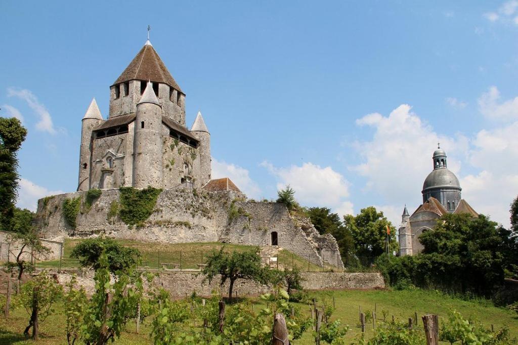 La Voulzie Appartement - Proche Centre Avec Parking Prive Provins Dış mekan fotoğraf